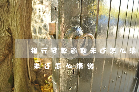 银行贷款逾期未还怎么清缴-银行贷款逾期未还怎么清缴