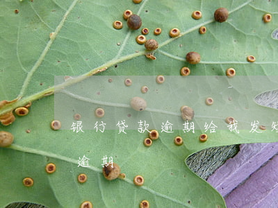 银行贷款逾期给我发短信(收到短信说有贷款逾期)