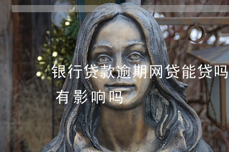 银行贷款逾期网贷能贷吗(网贷逾期银行贷款有影响吗)