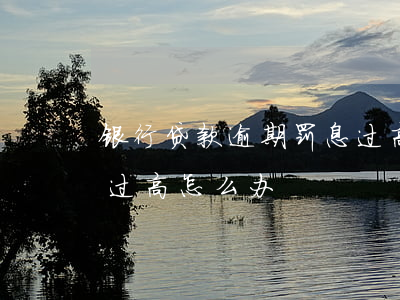 银行贷款逾期罚息过高(银行贷款利息和罚息过高怎么办)