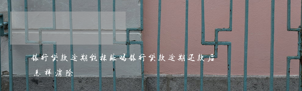 银行贷款逾期能抹账吗(银行贷款逾期还款后怎样消除)