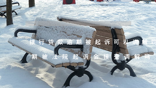 银行贷款逾期被起诉可以调解吗(银行贷款逾期被法院起诉会接受调解吗)