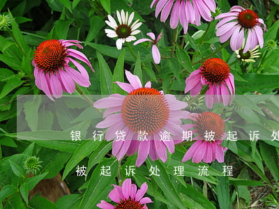 银行贷款逾期被起诉处理流程(银行贷款逾期被起诉处理流程)