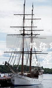 银行贷款逾期被起诉怎么办(银行贷款逾期多久会被起诉立案)
