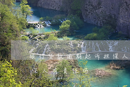 银行贷款逾期起诉担保人(贷款逾期被起诉担保人有责任吗)