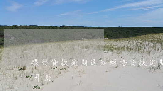 银行贷款逾期通知短信(贷款逾期发短信通知开庭)