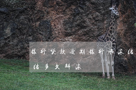 银行贷款逾期银行卡冻结(房贷逾期银行卡冻结多久解冻)