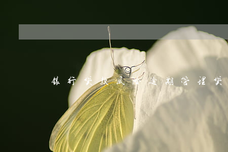 银行贷款风险逾期管理(贷款违约风险) 银行贷款风险逾期管理(贷款违约风险)