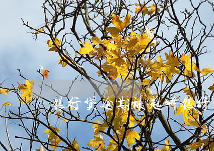 银行贷逾期被起诉(银行贷逾期被起诉)