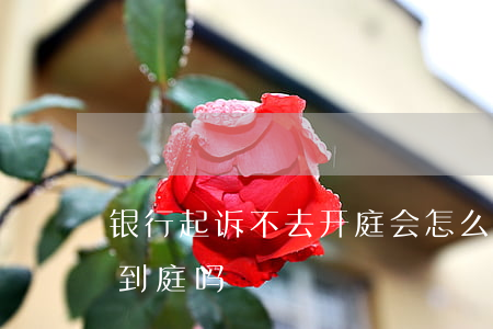 银行起诉不去开庭会怎么样(银行起诉必须要到庭吗)