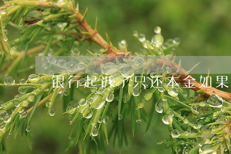 银行起诉了只还本金(如果银行起诉了还完钱)