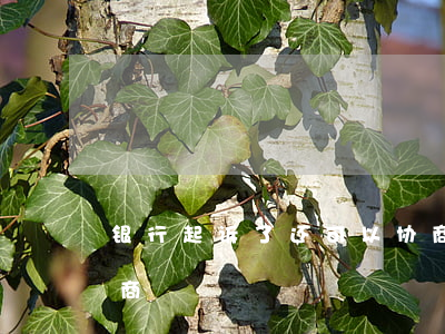 银行起诉了还可以协商吗（银行逾期起诉后协商）