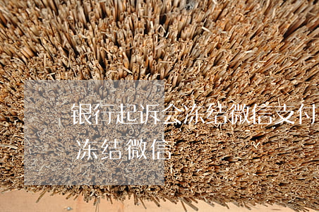 银行起诉会冻结微信支付宝吗（银行起诉后会冻结微信）