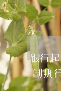 银行起诉执行了可以协商吗(银行申请法院强制执行后还可以协商吗)