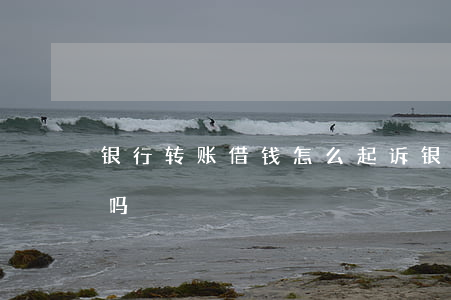 银行转账借钱怎么起诉(银行转账借款能追回吗)