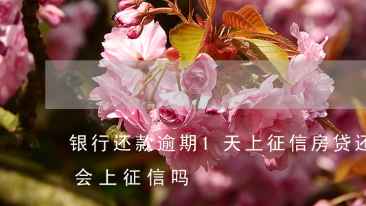 银行还款逾期1天上征信(房贷还款逾期一天会上征信吗)