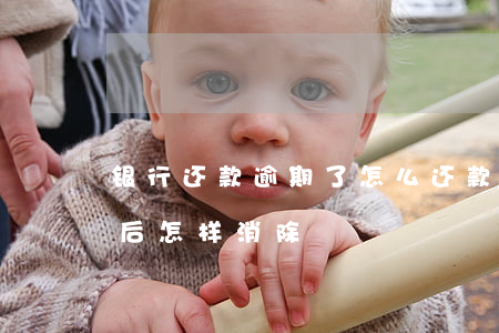 银行还款逾期了怎么还款(银行贷款逾期还款后怎样消除)