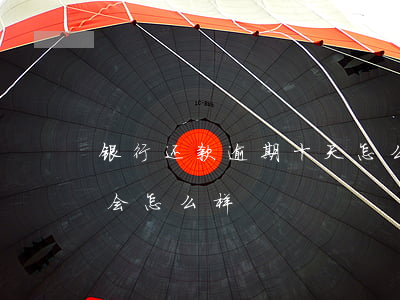 银行还款逾期十天怎么办(银行贷款逾期十天会怎么样)