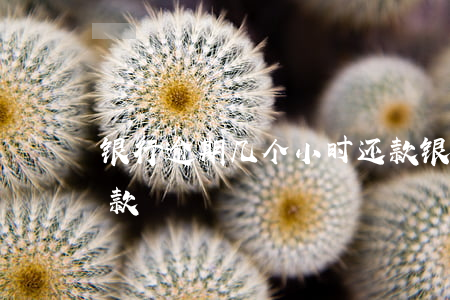银行逾期几个小时还款(银行逾期几个小时还款)