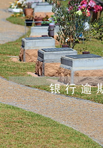 银行逾期协商文案范文（银行逾期协商文案）