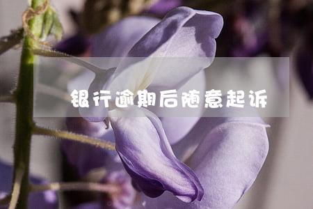 银行逾期后随意起诉