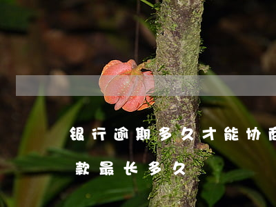 银行逾期多久才能协商还款(贷款逾期协商还款最长多久)