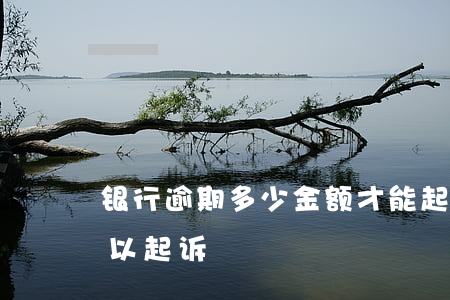 银行逾期多少金额才能起诉(逾期多久银行可以起诉)