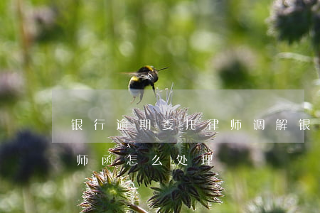 银行逾期委托律师调解(银行贷款逾期收到律师函怎么处理)