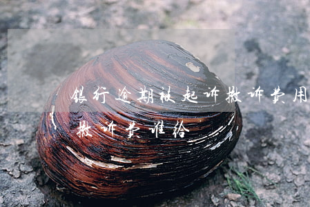 银行逾期被起诉撤诉费用多少-银行起诉后撤诉费谁给
