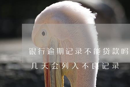 银行逾期记录不能贷款吗(银行贷款到期逾期几天会列入不良记录)