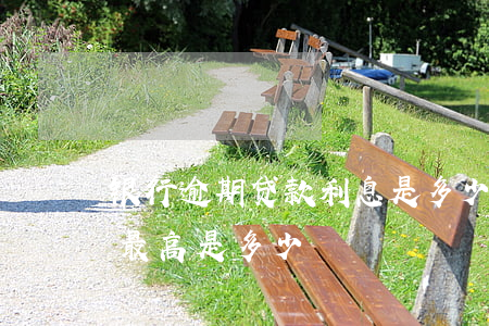 银行逾期贷款利息是多少(银行贷款逾期罚息最高是多少)