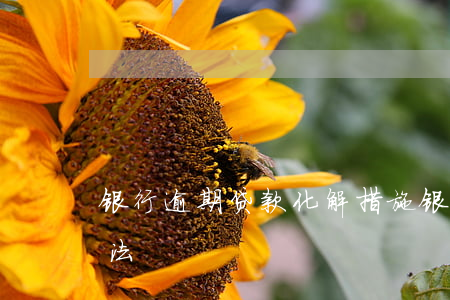 银行逾期贷款化解措施(银行逾期怎么处理方法)