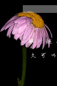 银行逾期贷款多久会被起诉(银行借款逾期多久可以起诉)