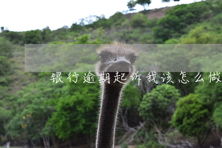 银行逾期起诉我该怎么做(银行逾期怎么申诉)