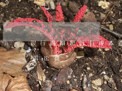 银行逾期起诉有成本(银行贷款逾期被起诉后诉讼费)