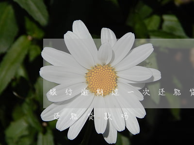 银行逾期过一次还能贷款(银行贷款逾期一次还能贷款吗)