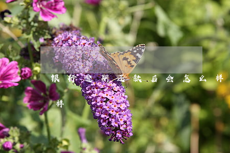 银行逾期还款后会怎么样(贷款还款逾期会怎样)