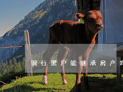 银行黑户能继承房产吗(黑户可以继承房产吗)