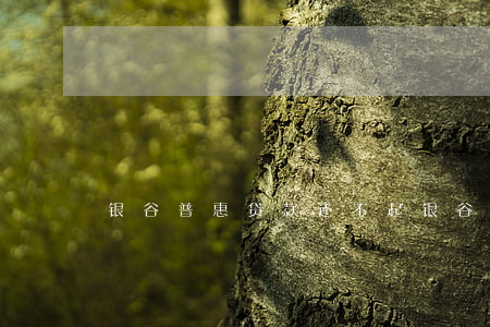 银谷普惠贷款还不起(银谷普惠怎么不扣款了)