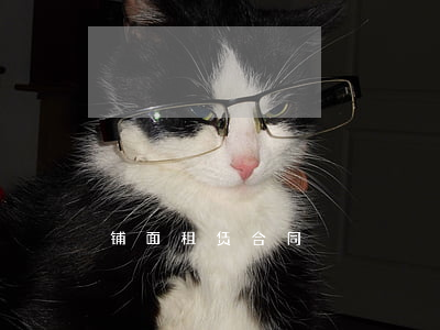 铺面租赁合同