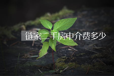 链家二手房中介费多少