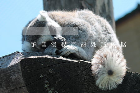 销售侵权产品处罚依据
