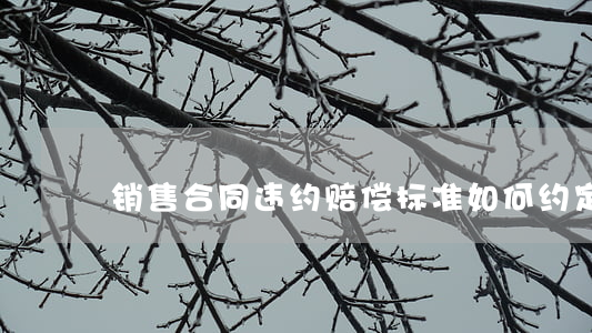 销售合同违约赔偿标准如何约定