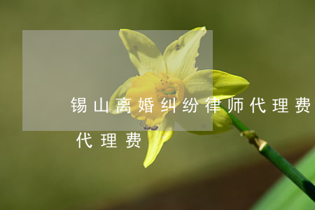 锡山离婚纠纷律师代理费(锡山离婚纠纷律师代理费)