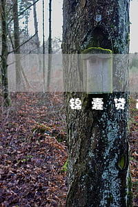 锦囊贷逾期被起诉 锦囊贷不还会怎么样?