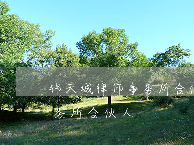 锦天城律师事务所合伙人(南京锦天城律师事务所合伙人)