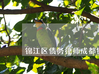 锦江区债务律师(成都锦江区律师事务所排行)