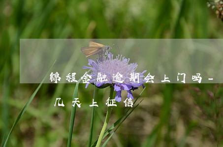 锦程金融逾期会上门吗-锦程消费金融逾期几天上征信
