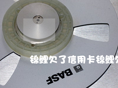 锦鲤欠了信用卡（锦鲤欠了信用卡）