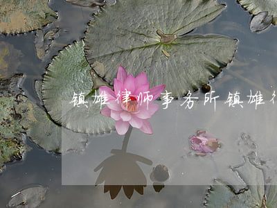 镇雄律师事务所(镇雄律师事务所多少家)